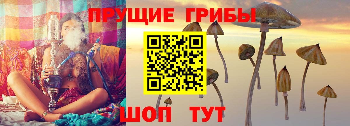 Сафоново  Галлюциногенные грибы Cubensis  Вход с VPN  Галлюциногенные грибы MAGIC MUSHROOMS 